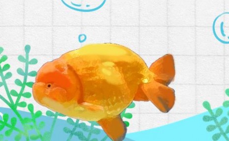 蘭壽金魚需要加熱棒嗎，需要過濾器嗎