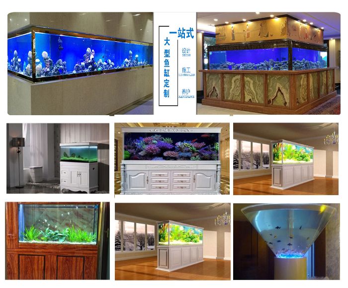 觀賞魚缸養(yǎng)魚好嗎_魚缸最好養(yǎng)的觀賞魚_觀賞魚缸養(yǎng)魚好不好