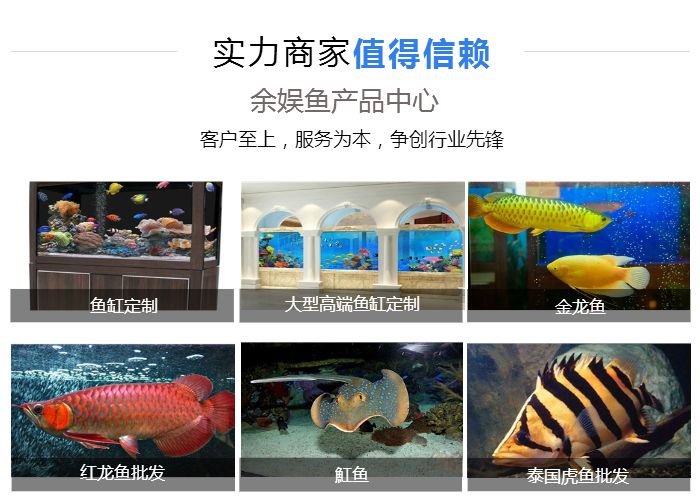 觀賞魚缸養(yǎng)魚好不好_魚缸最好養(yǎng)的觀賞魚_觀賞魚缸養(yǎng)魚好嗎