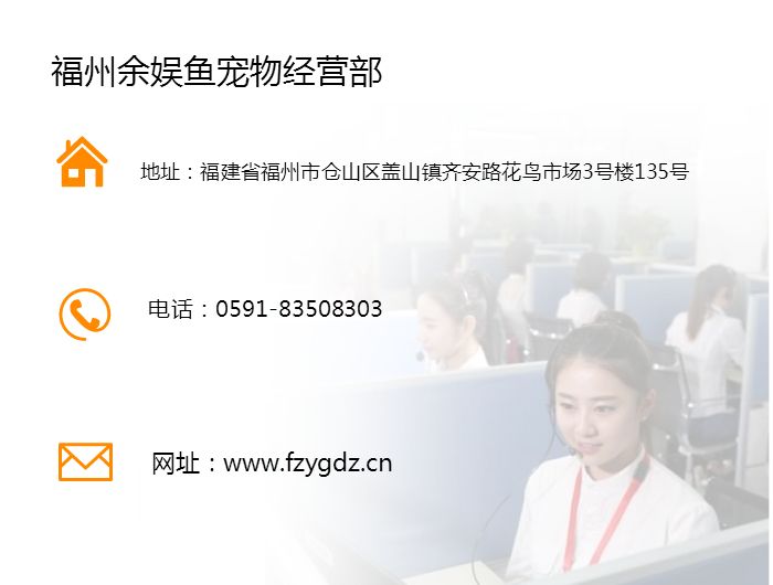 觀賞魚缸養(yǎng)魚好不好_魚缸最好養(yǎng)的觀賞魚_觀賞魚缸養(yǎng)魚好嗎