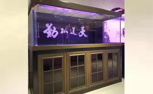 觀賞魚缸養(yǎng)魚好不好_觀賞魚缸養(yǎng)魚好嗎_魚缸最好養(yǎng)的觀賞魚