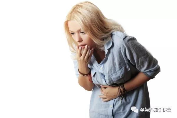 狗狗懷孕吃什么有營養(yǎng)_狗狗懷孕吃些什么營養(yǎng)品_狗狗懷孕吃什么有營養(yǎng)飯