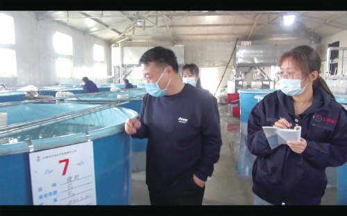 天津觀賞魚產(chǎn)業(yè)帶動(dòng)了相關(guān)產(chǎn)業(yè)鏈發(fā)展，都市型休閑觀賞漁業(yè)正在成長(zhǎng)壯大