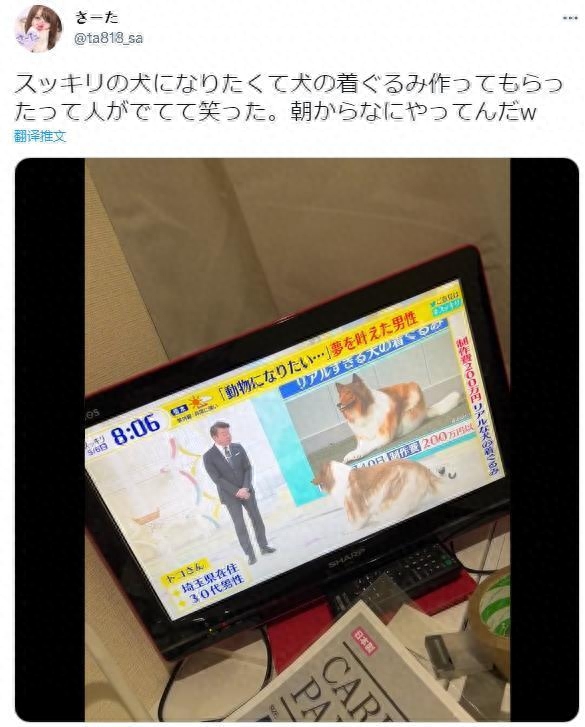 網(wǎng)上買狗可靠嗎_網(wǎng)上買狗可靠嗎_網(wǎng)上買狗可靠嗎