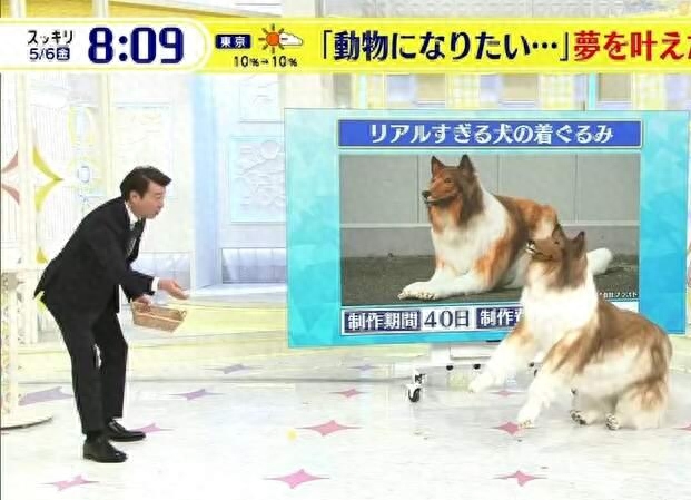 網(wǎng)上買狗可靠嗎_網(wǎng)上買狗可靠嗎_網(wǎng)上買狗可靠嗎