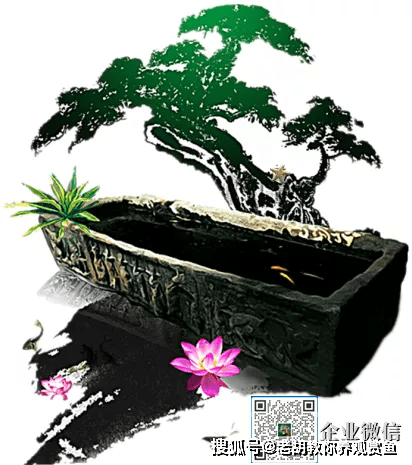 觀賞魚多久換一次水