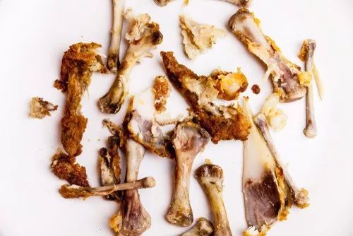 骨頭狗吃了能消化嗎_狗為什么喜歡吃骨頭_狗喜歡吃骨頭怎么說