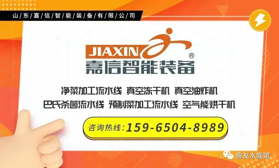 觀賞魚價格排名_各種觀賞魚的價格與品種_觀賞品種魚價格排名