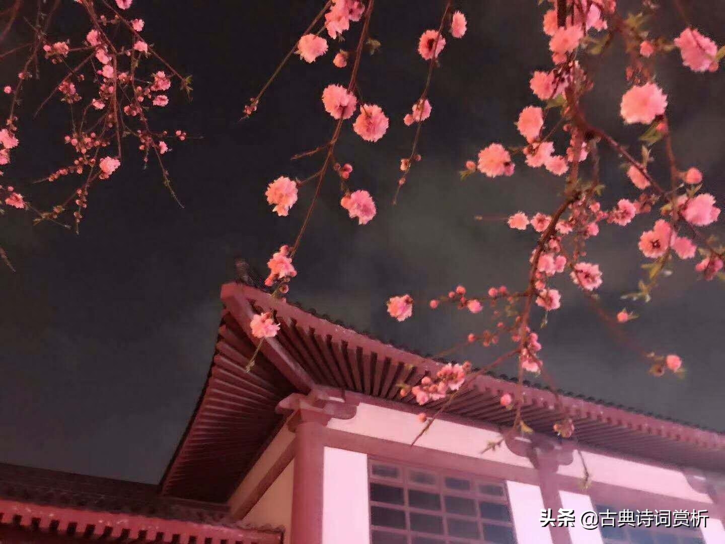 情人節(jié)情詩大全_情人的情詩_情人詩一首