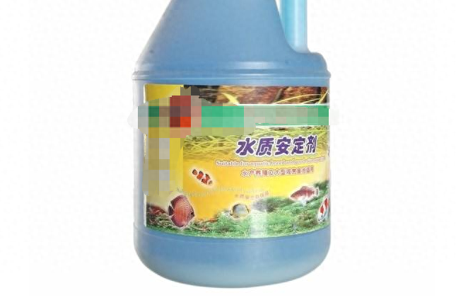 觀賞魚應該用什么樣的水_觀賞魚水養好用什么_觀賞魚用什么水養最好