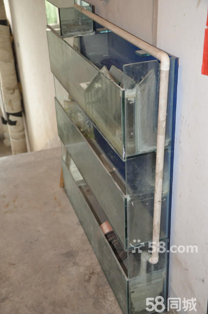 【圖】專業人士自行設計精品小型觀賞魚魚缸 