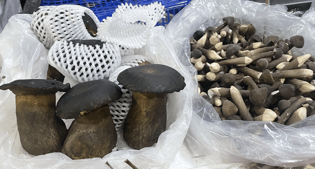 杭州觀賞魚批發(fā)市場_杭州賣魚的市場_杭州市觀賞魚批發(fā)市場