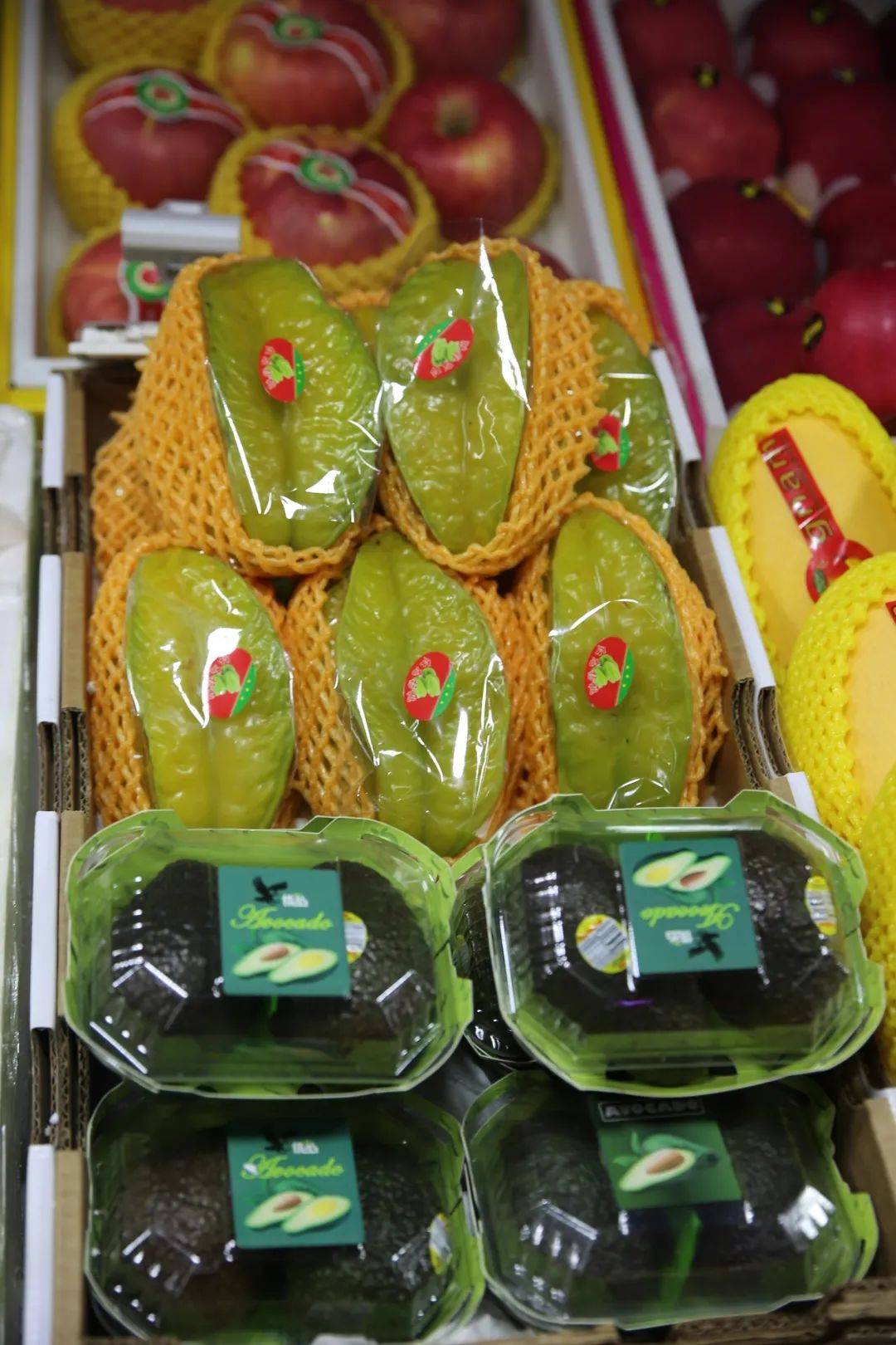 杭州賣魚的市場_杭州市觀賞魚批發(fā)市場_杭州觀賞魚批發(fā)市場