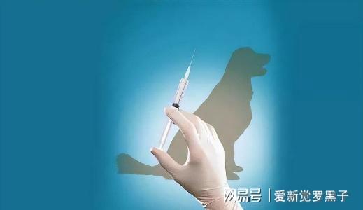給狗打疫苗多少錢狂犬_給狗狗打狂犬疫苗多少錢_狗狗打的狂犬疫苗價格