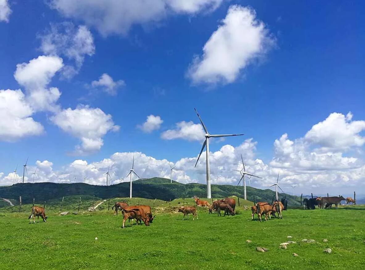 桂林南山牧場在哪里_桂林南山牧場自駕游攻略_桂林南山牧場旅游攻略