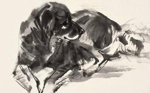 1994年屬什么，1994年是什么命