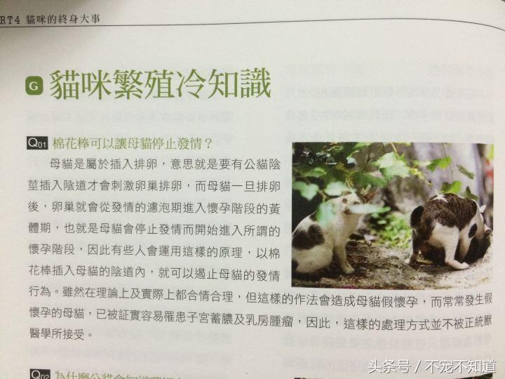 母狗發(fā)情怎么辦_母狗發(fā)情怎么辦_母狗發(fā)情怎么辦