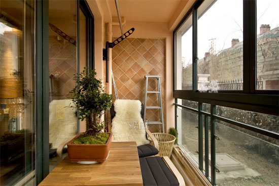 觀賞魚透明的叫什么名字_透明魚長啥樣_透明觀賞魚