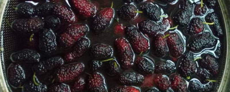 養魚的小說_養觀賞魚的小說_主角養觀賞魚發家的小說