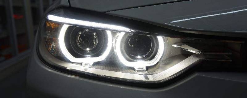 養魚的小說_養觀賞魚的小說_主角養觀賞魚發家的小說