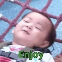 八尺鏡多肉_八尺鏡多肉_八尺鏡多肉