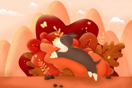 多肉放辦公桌左邊還是右邊_多肉放在辦公室怎么養(yǎng)_辦公桌上放多肉