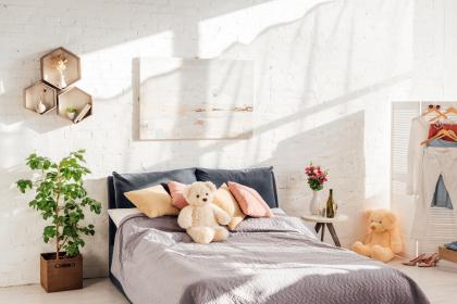 多肉放在辦公室怎么養(yǎng)_辦公桌上放多肉_多肉放辦公桌左邊還是右邊