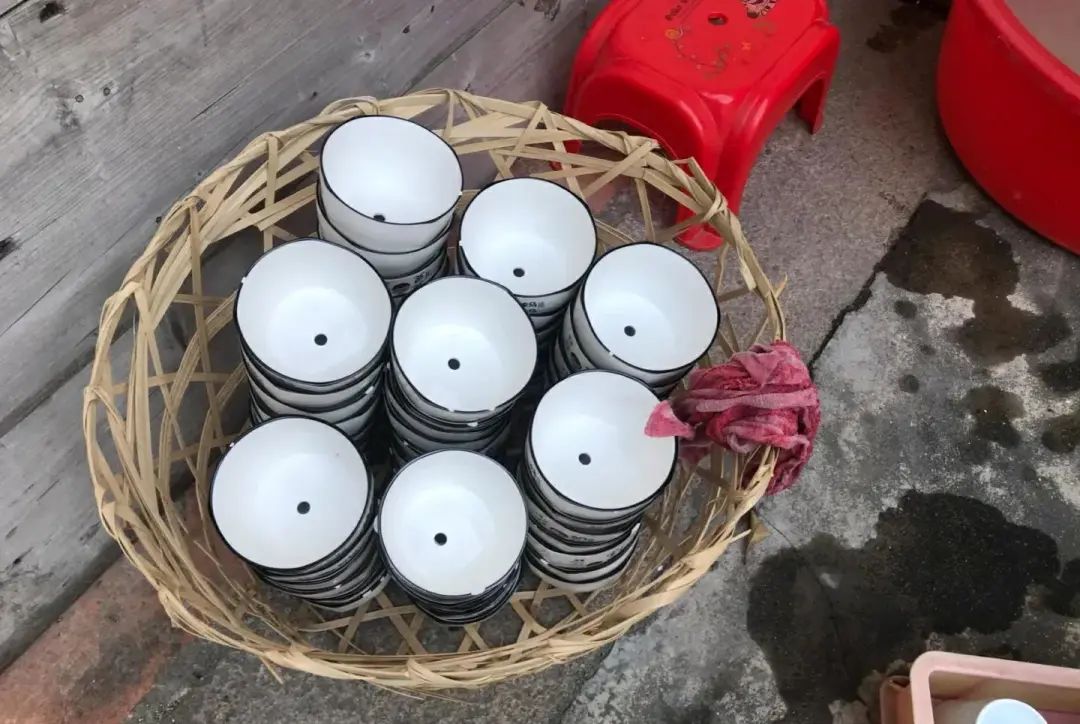 新手養多肉_多肉初期怎么養_初養多肉植物養什么