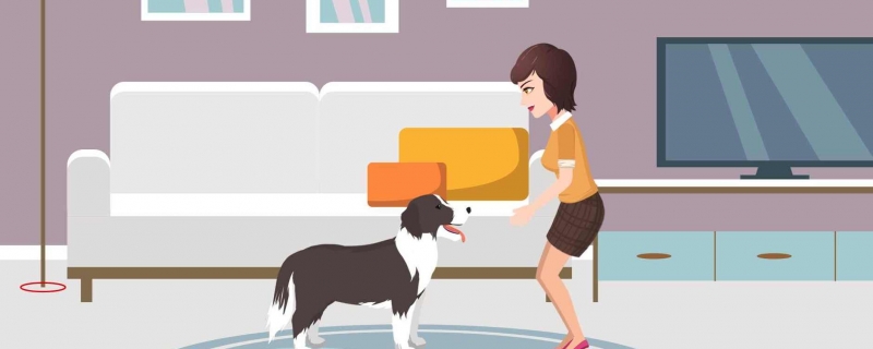 狗狗取名招財(cái)又吉利的名字 招財(cái)旺主人的狗