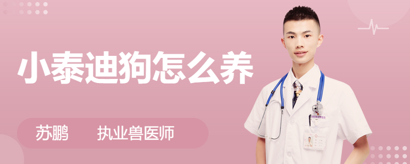 小狗喂養斷奶要多久_小狗斷奶怎么喂食_剛斷奶的小狗怎么喂養