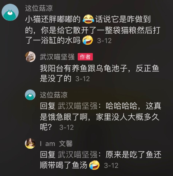 小魚觀賞魚生病怎么辦_觀賞小魚生了小魚_觀賞魚生小魚