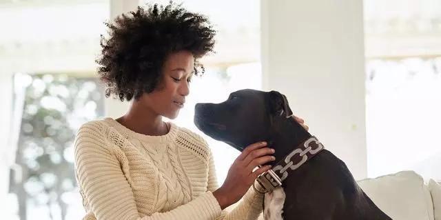 狗狗能聽懂人說話嗎_狗能聽懂人說話不_狗狗能聽懂人說的話