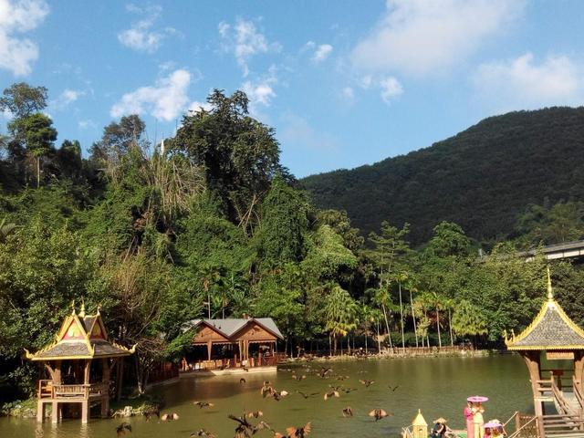 百度西雙版納旅游景點(diǎn)_廣西西雙版納旅游景點(diǎn)攻略自由行_云南西雙版納旅游景點(diǎn)大全排行