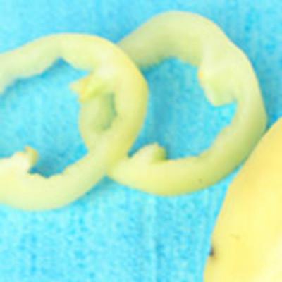 清道夫魚能吃嗎