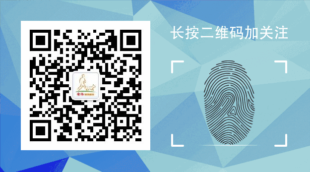 泰迪狗好養嗎_養狗養泰迪好嗎_泰迪狗好不好養活