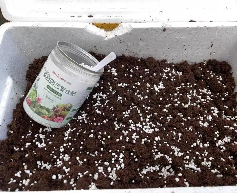 純泥炭土種多肉_多肉泥炭土_多肉植物泥炭土