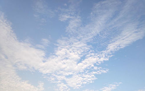 女神節(jié)祝福語(yǔ)優(yōu)美獨(dú)特 祝福女人美麗語(yǔ)簡(jiǎn)短