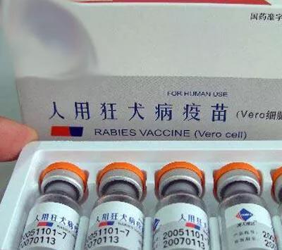 狗咬潛伏期多長時間_被家狗咬后一般潛伏期多長時間_潛伏期的狗咬人會傳染嗎