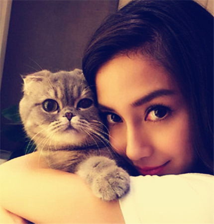 長(zhǎng)毛尖嘴狗的品種是什么？