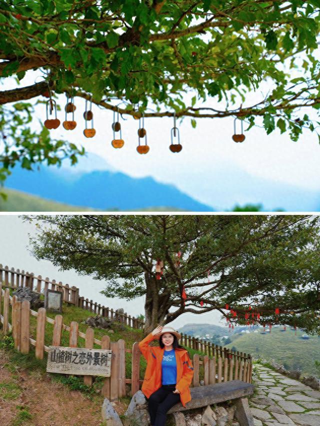 宜昌市十大旅游景點排名_宜昌市旅游攻略_宜昌市內旅游攻略