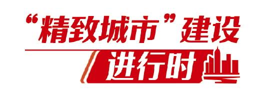 走！去威海看天鵝