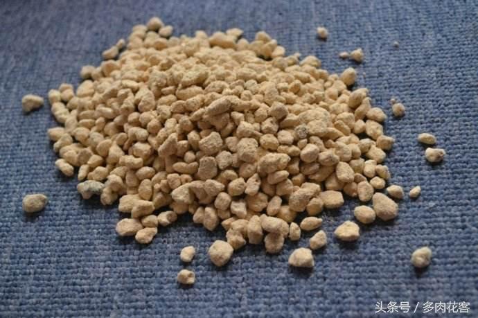 玩轉多肉植物系列，種肉石頭篇，赤玉土是什么土，有什么用呢？