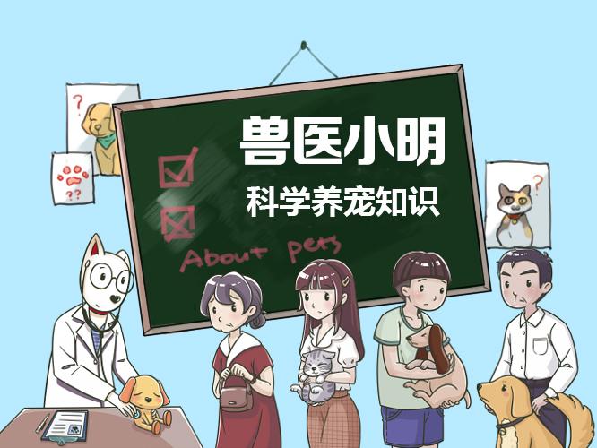 狗狗發燒判斷病情_狗狗發燒判斷是否感冒_怎么判斷狗狗發燒