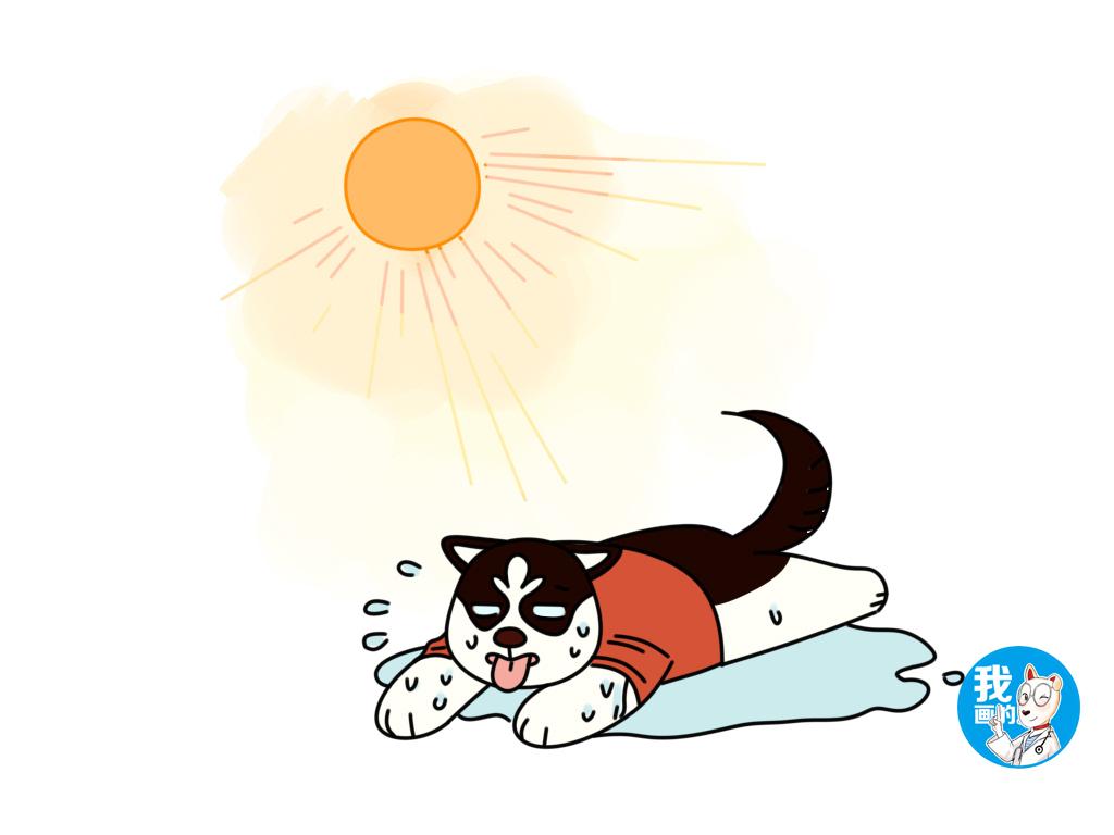 狗狗發燒判斷病情_狗狗發燒判斷是否感冒_怎么判斷狗狗發燒