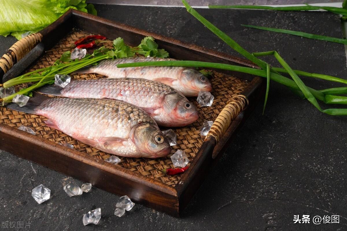 一條4斤的觀賞魚，賣了400多萬，解讀高價背后的原因