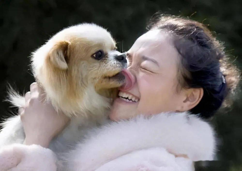 舔狗的意思是什么意_人們說的舔狗是什么意思_狗狗舔人是什么意思啊