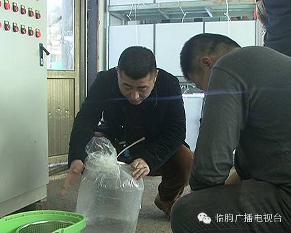 上海買海水魚_上海買魚的地方_上海哪里可以買觀賞魚