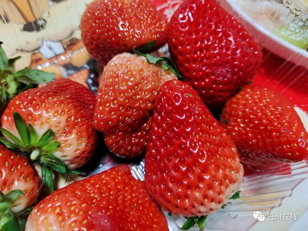 觀賞魚批發市場進貨_批發觀賞魚可以買嗎_哪里可以批發觀賞魚