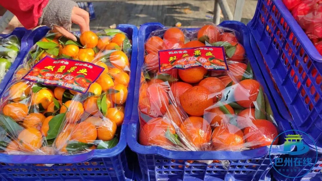 觀賞魚批發市場進貨_哪里可以批發觀賞魚_批發觀賞魚可以買嗎
