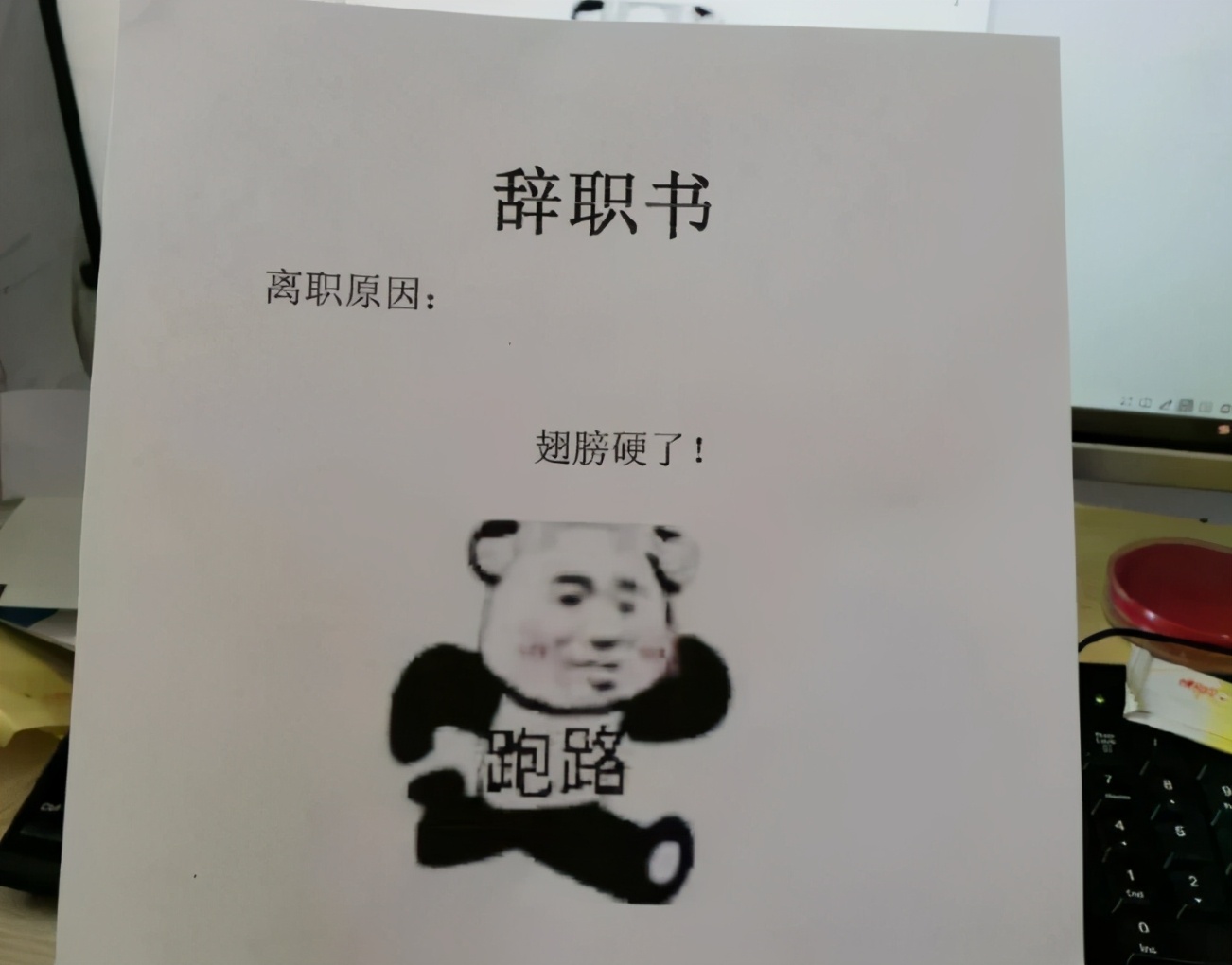 試用期辭職原因怎么寫_原因試用辭職期寫辭職報告_原因試用辭職期寫什么